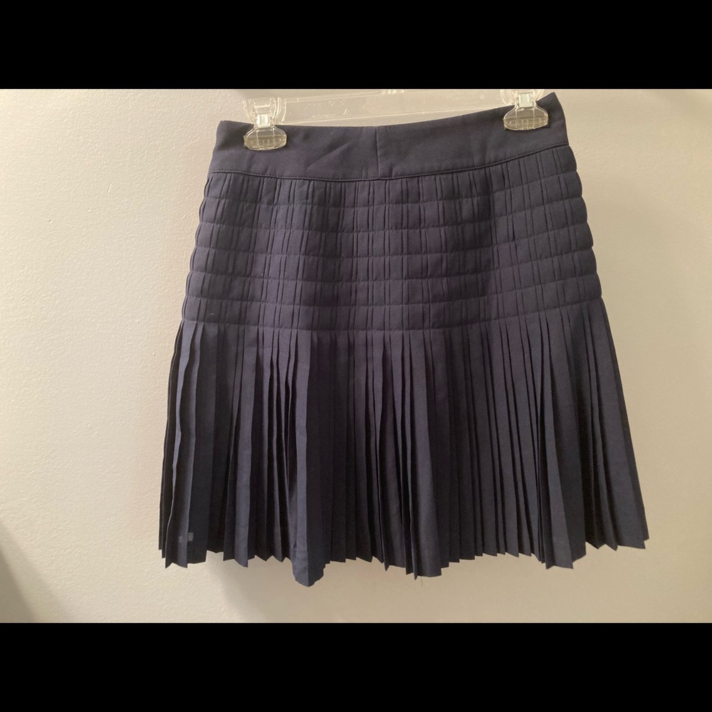 JCrew Navy skirt